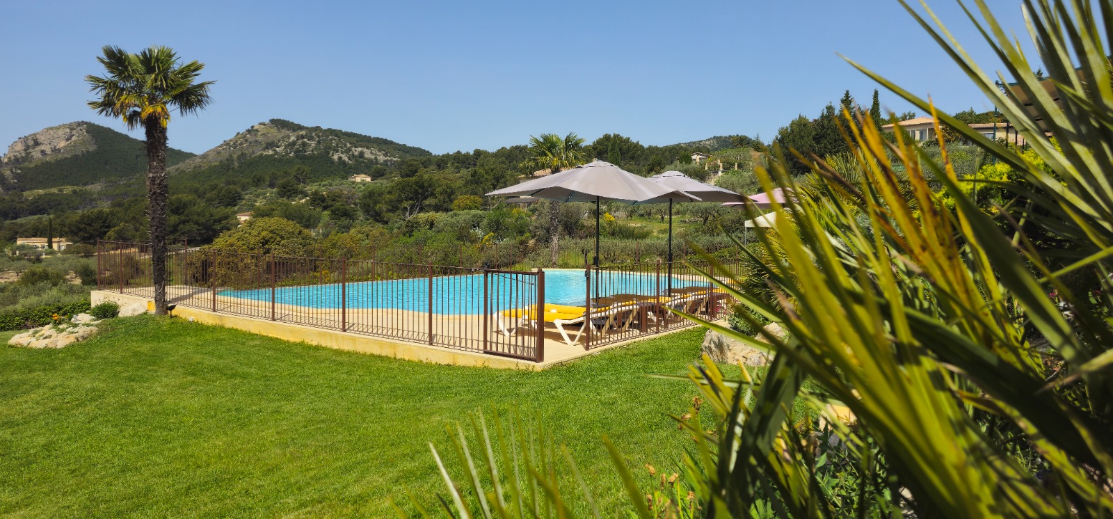 Piscine avec palmier et vue sur les montagnes du Vaucluse — bien Airbnb optimisé par H.E. Conciergerie