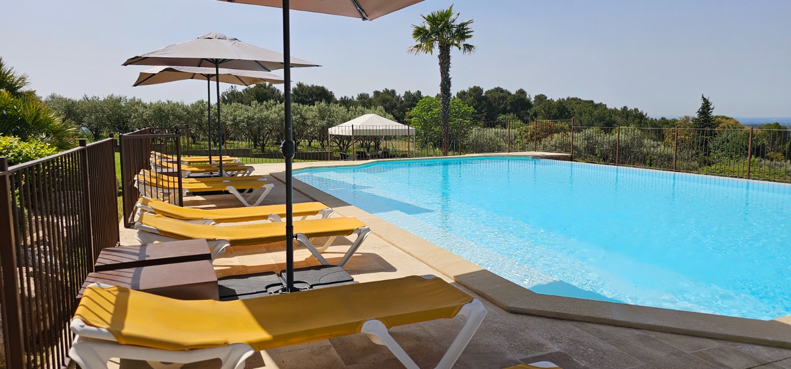 Grande piscine avec transats jaunes et vue sur les oliviers — bien Airbnb près du Mont Ventoux